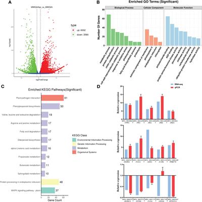 Integrative transcriptomic, proteomic, and phosphoproteomic analysis on the defense response to Magnaporthe oryzae reveals different expression patterns at the molecular level of durably resistant rice cultivar Mowanggu